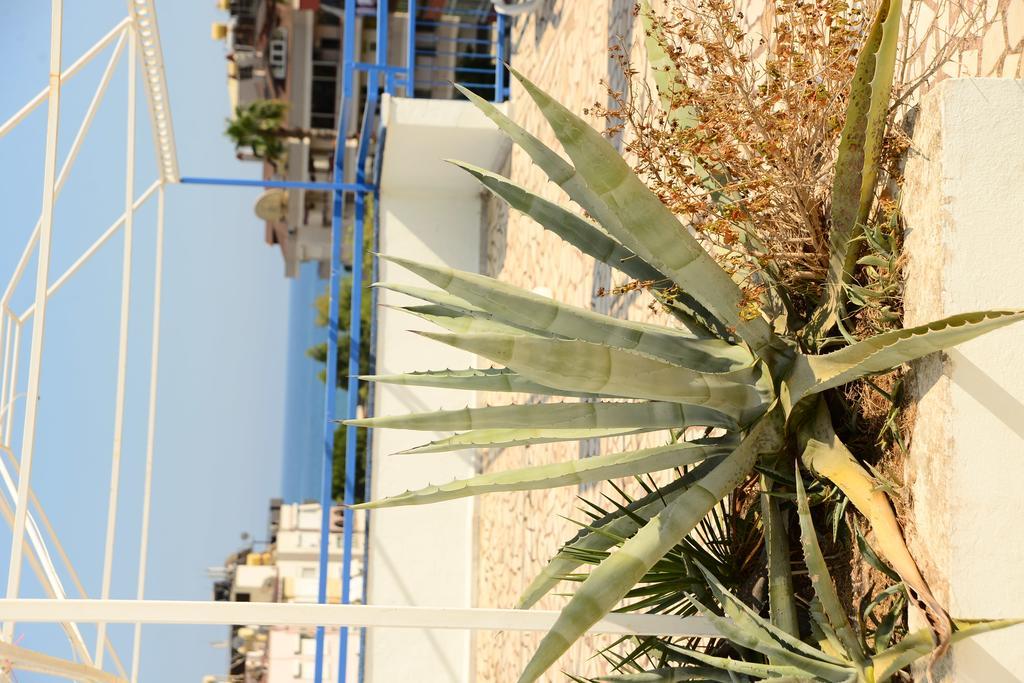 Pinar Hotel Alanya Exterior photo